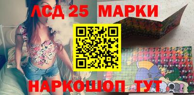 гашик Можга