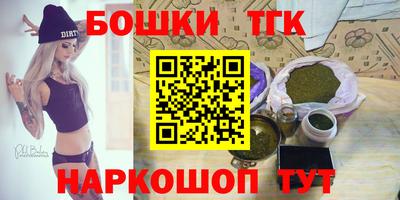гашик Можга