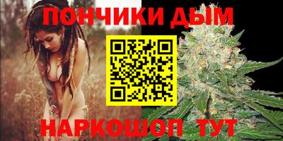 гашик Можга