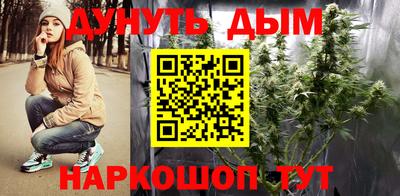 гашик Можга
