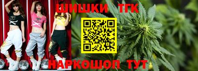 гашик Можга