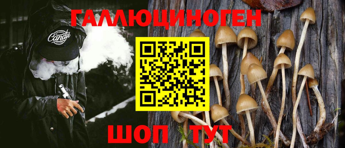 Псилоцибиновые грибы MAGIC MUSHROOMS  Вход с VPN  Владикавказ 